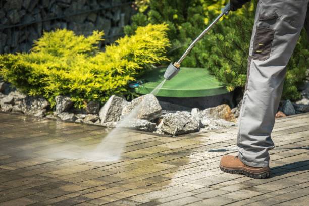 Best Pre-Holiday Cleaning  in Kouts, IN